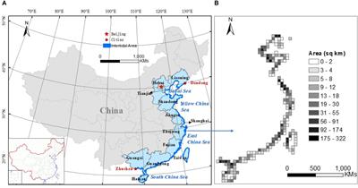 Mapping the Rapid Decline of the Intertidal Wetlands of China Over the Past Half Century Based on Remote Sensing